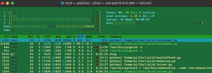 Carl_htop