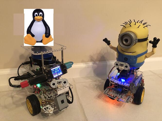 ROSbot_Tux_And_Carl